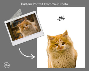 Custom Cat Portrait From Photo