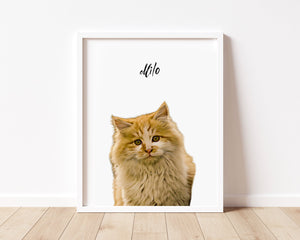 Custom Cat Portrait From Photo & Sound