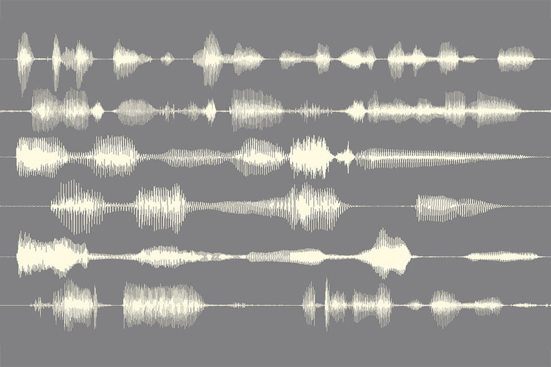 The Science of a Silhouette: How Soundwaves Turn Memories Into Art