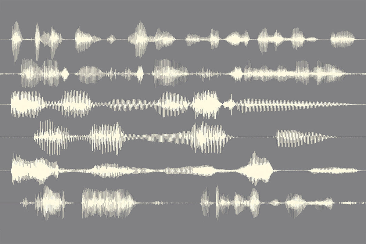 The Science of a Silhouette: How Soundwaves Turn Memories Into Art
