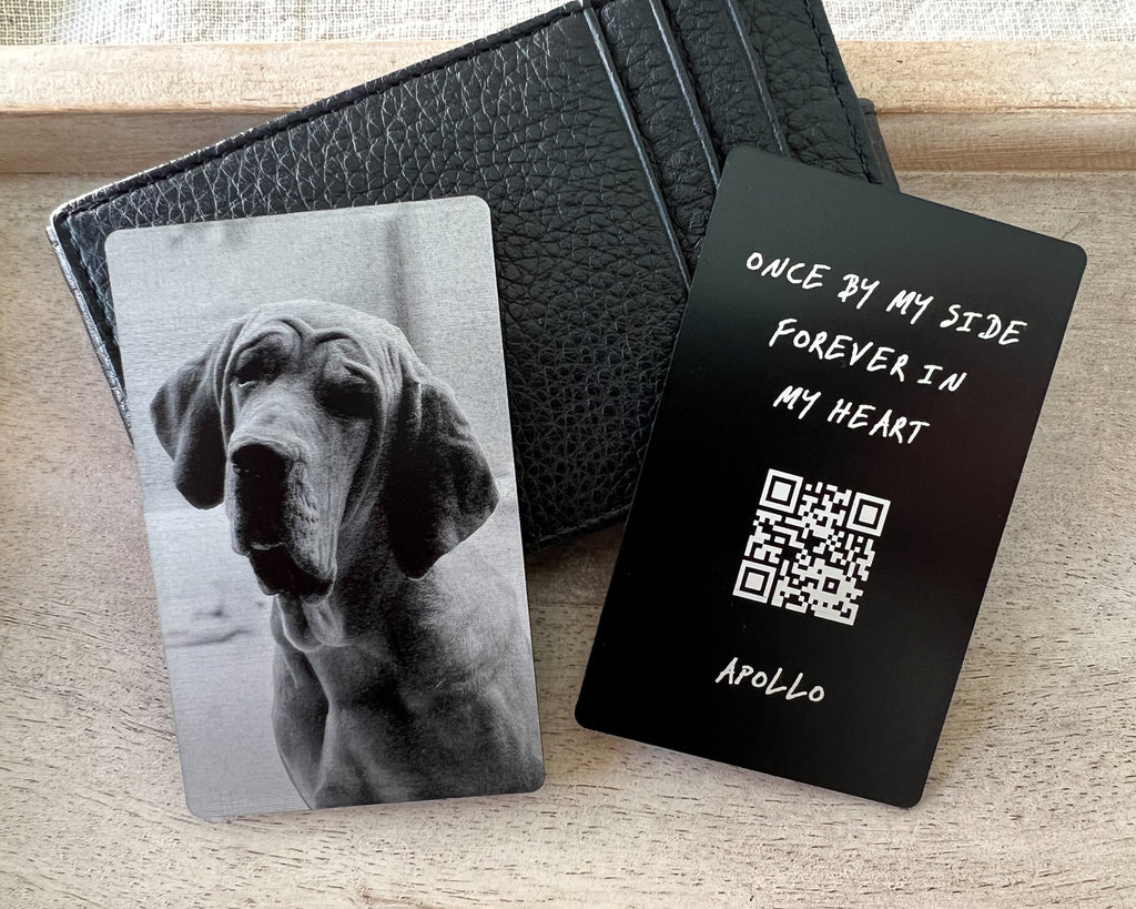 IMG_7133_1024x1024.jpg?v=