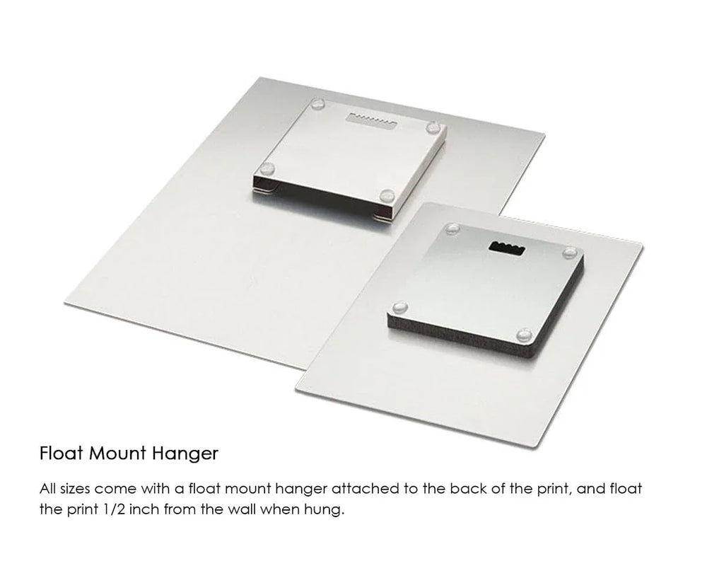 Metal Wall Mount (For All Sizes)